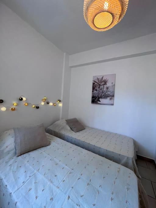 Renove Confort 10mn De Campomoro
